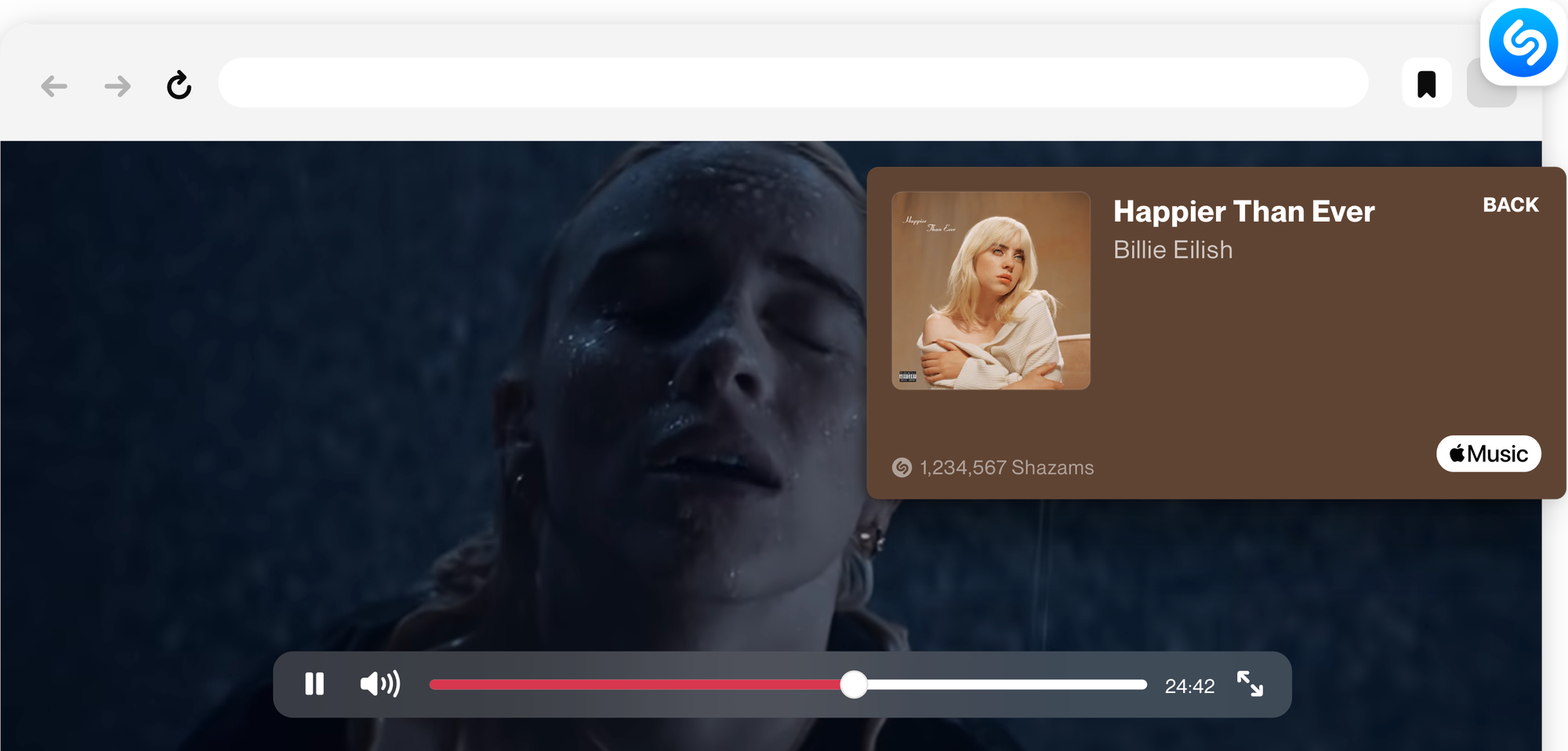 Browser Extension